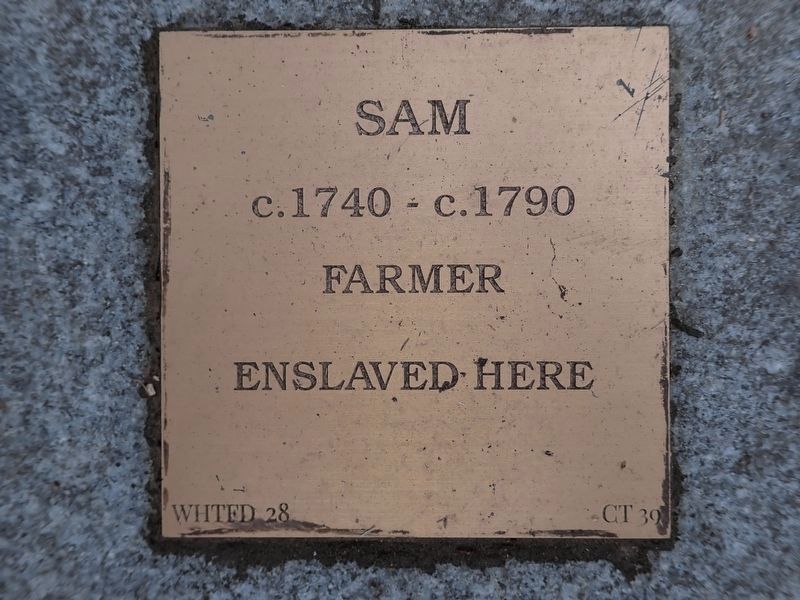 Sam Witness Stone image. Click for full size.