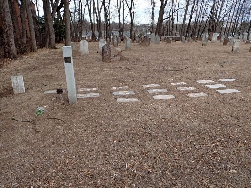 Rachel Nott Witness Stone image. Click for full size.