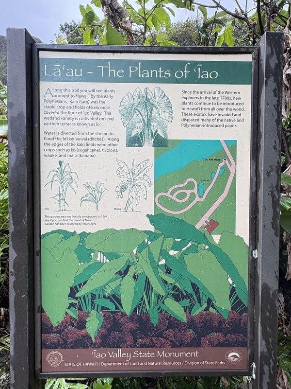 La'au - The Plants of 'Iao Marker image. Click for full size.