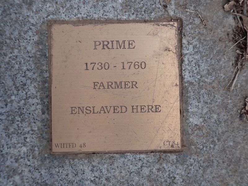 Prime Witness Stone image. Click for full size.