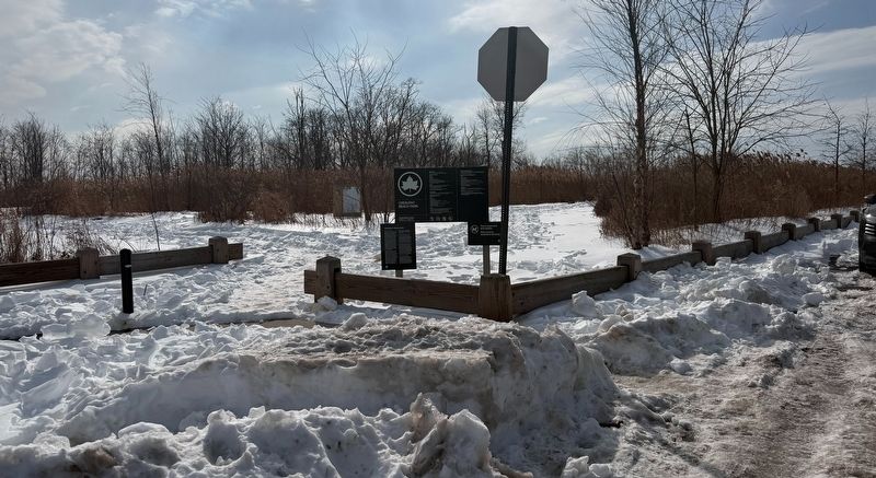 Crescent Beach Park Entrance. Click for full size. Crescent Beach Park Entrance image. Click for full size.