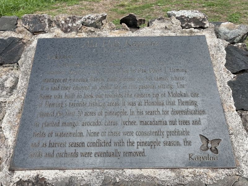 Maka oi oi Marker. Click for full size. Maka oi oi Marker image. Click for full size.