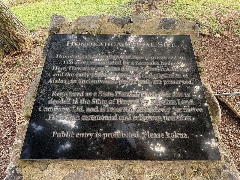 Honokahua Burial Site Marker. Click for full size. Honokahua Burial Site Marker image. Click for full size.