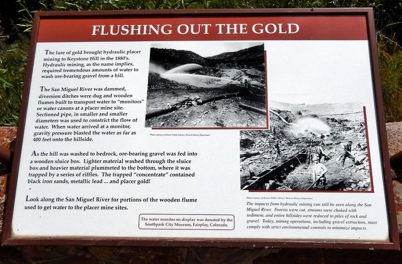 Flushing Out the Gold Marker. Click for full size. Flushing Out the Gold Marker image. Click for full size.