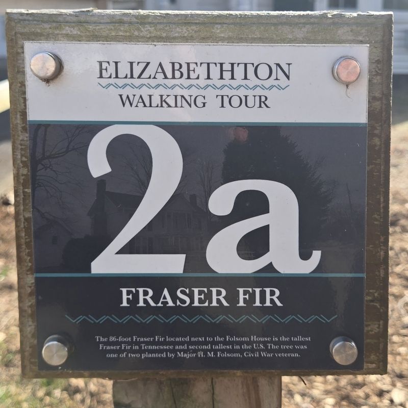 Fraser Fir Marker image. Click for full size.