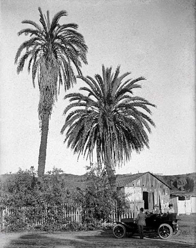Serra Palms, circa 1915. Click for full size. Serra Palms, circa 1915 image. Click for full size.