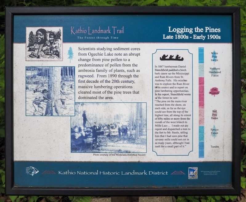 Logging the Pines Marker. Click for full size. Logging the Pines Marker image. Click for full size.