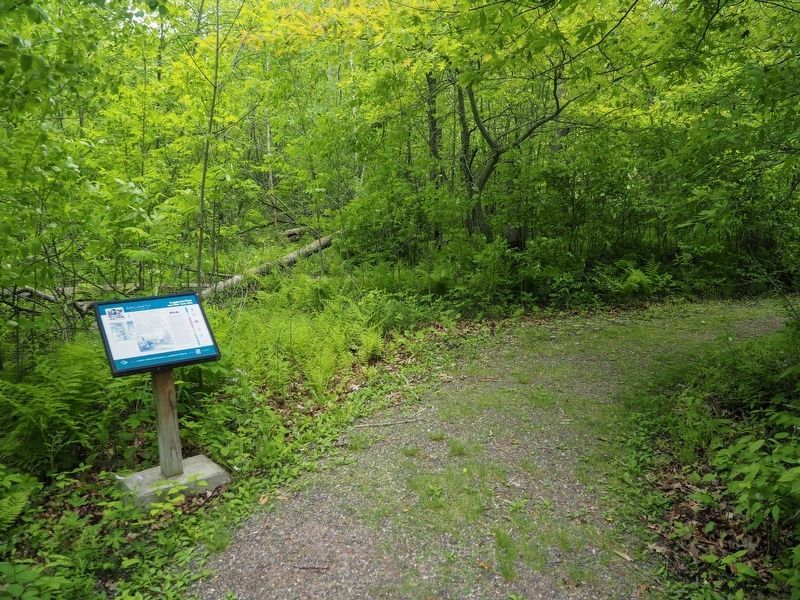 Logging the Pines Marker on the Kathio Landmark Trail. Click for full size. Logging the Pines Marker on the Kathio Landmark Trail image. Click for full size.