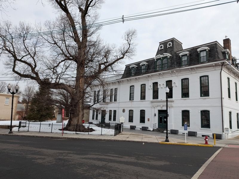 Perth Amboy's English Elm Tree Marker image. Click for full size.