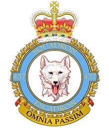 437 Transport Squadron badge. Click for more information. 437 Transport Squadron badge image. Click for more information.