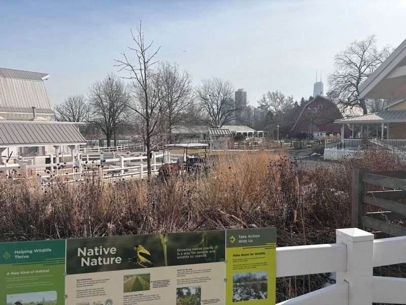 Farm-in-the-Zoo section of Lincoln Park Zoo image. Click for full size.