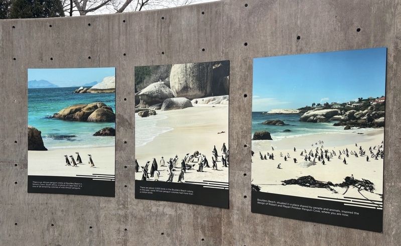 Penguin Colonies Marker image. Click for full size.