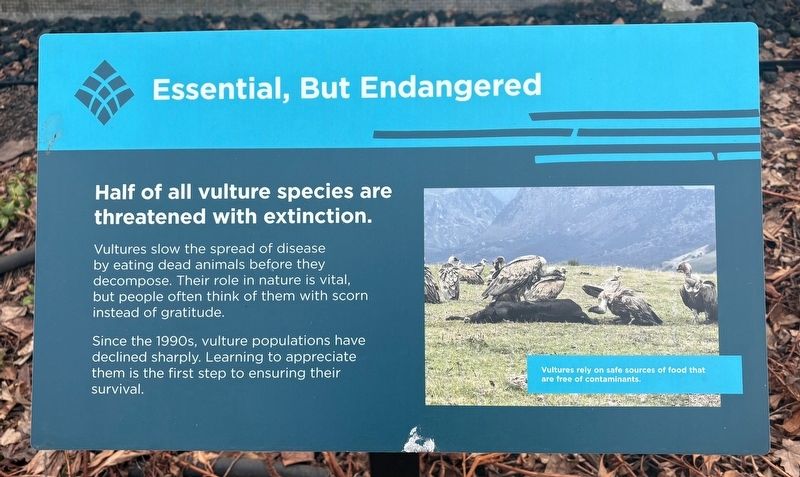 Essential, But Endangered Marker image. Click for full size.