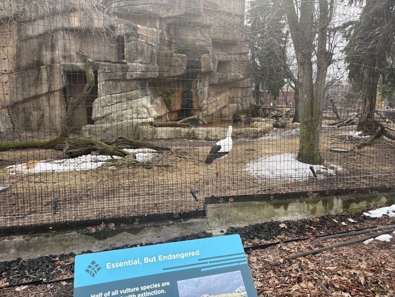 Essential, But Endangered Marker image. Click for full size.