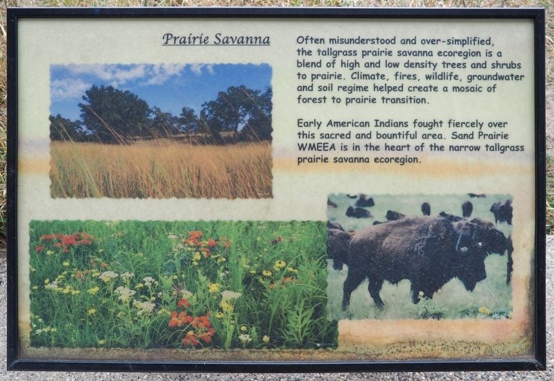 Prairie Savanna Marker. Click for full size. Prairie Savanna Marker image. Click for full size.