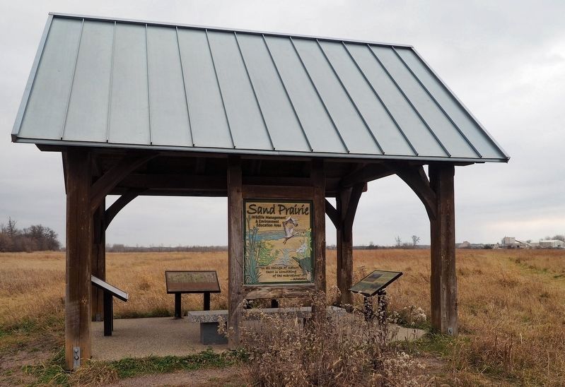 Prairie Savanna Marker (right) at the Sand Prairie Wildlife Management Area's interpretive shelter. Click for full size. Prairie Savanna Marker (right) at the Sand Prairie Wildlife Management Area's interpretive shelter image. Click for full size.