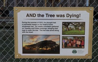And the Tree was Dying! Marker image. Click for full size.