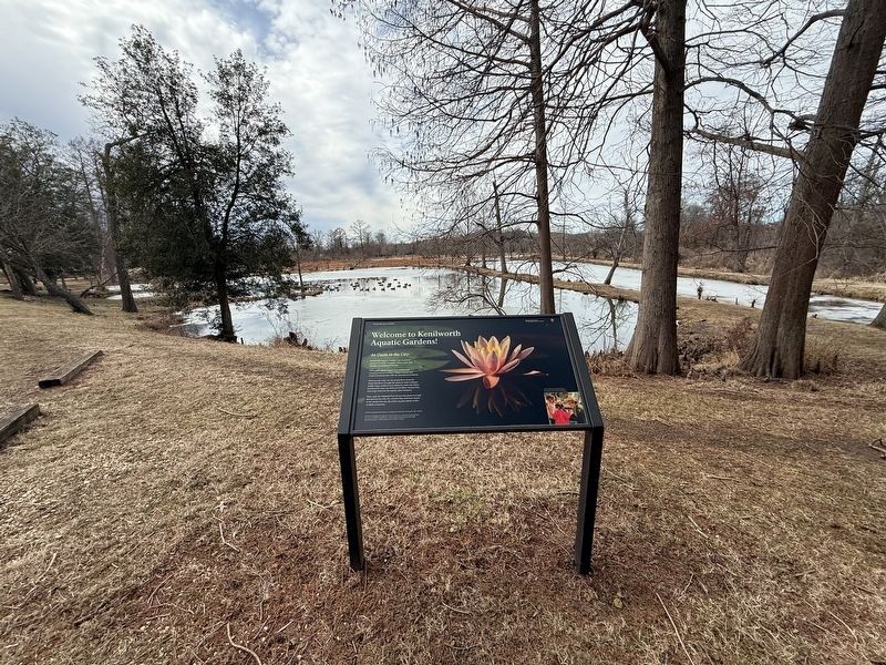 Welcome to Kenilworth Aquatic Gardens! Marker image. Click for full size.