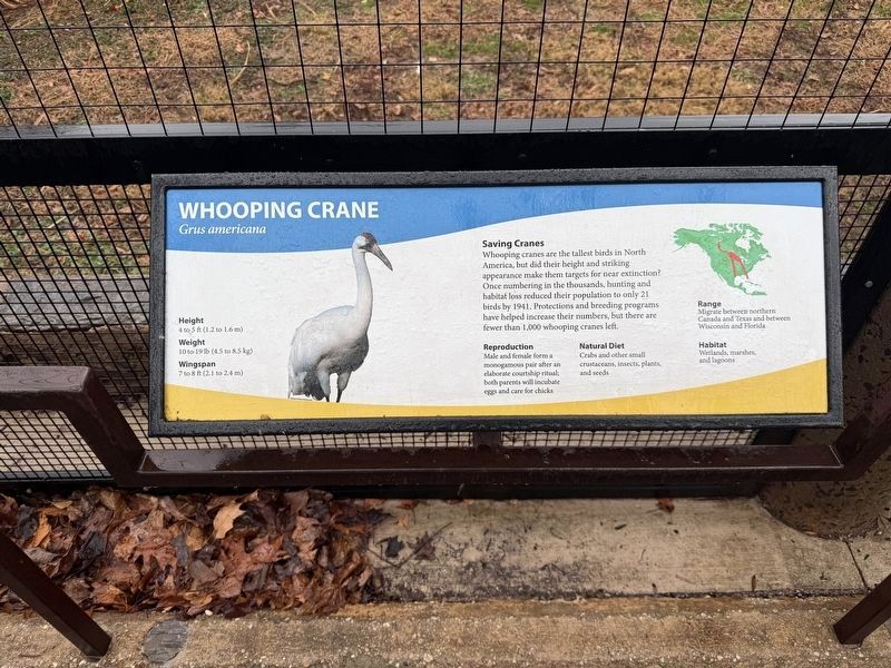 Whooping Crane Marker image. Click for full size.