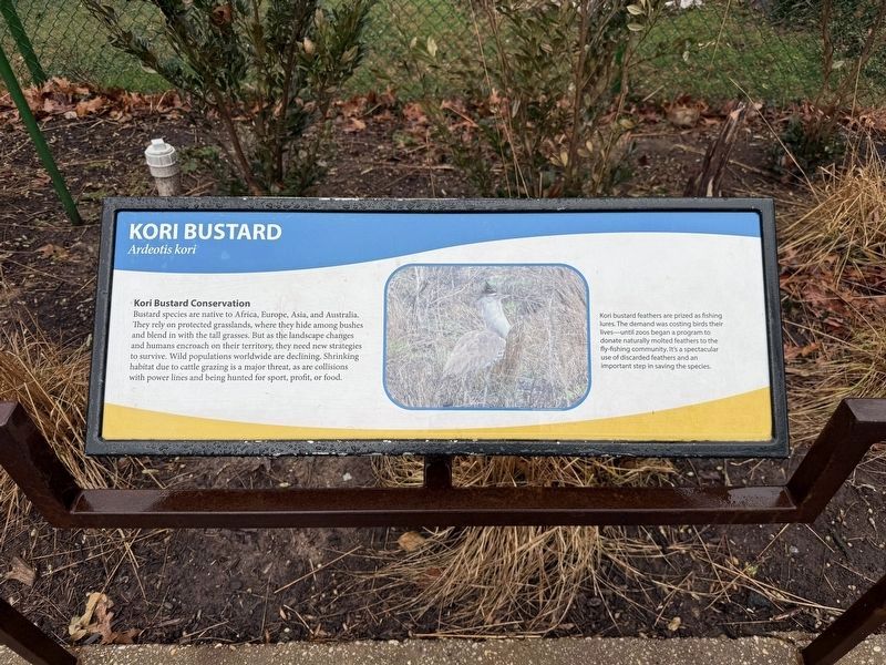 Kori Bustard Marker. Click for full size. Kori Bustard Marker image. Click for full size.