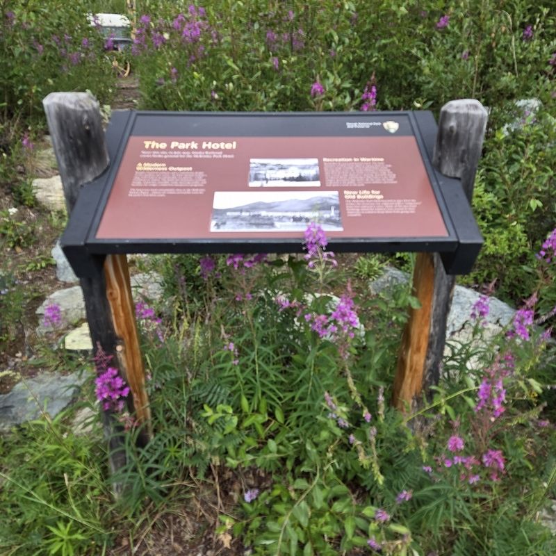 The Park Hotel Marker image. Click for full size.