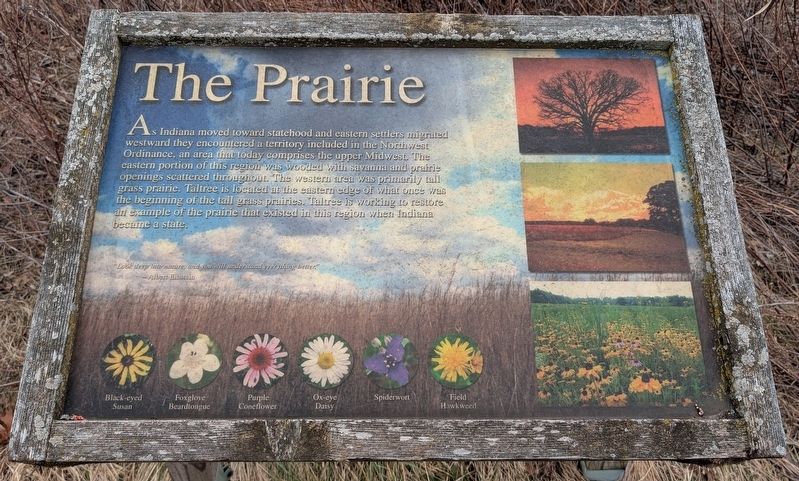 The Prairie Marker. Click for full size. The Prairie Marker image. Click for full size.