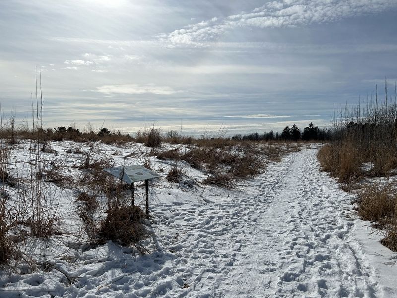Prairie restoration Marker. Click for full size. Prairie restoration Marker image. Click for full size.