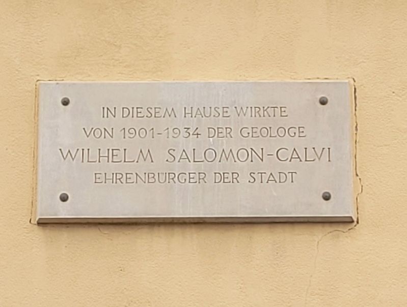 Wilhelm Salomon-Calvi Marker. Click for full size. Wilhelm Salomon-Calvi Marker image. Click for full size.