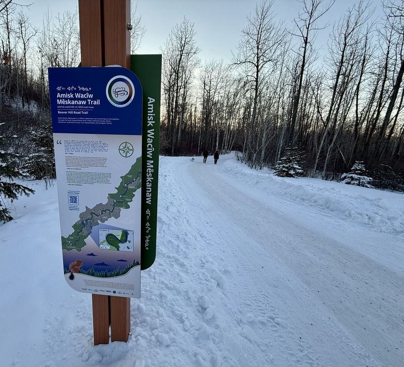Amisk Wacîw Męskanaw Trail Marker. Click for full size. Amisk Wacîw Męskanaw Trail Marker image. Click for full size.