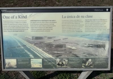 One of a Kind Marker. Click for full size. One of a Kind Marker image. Click for full size.