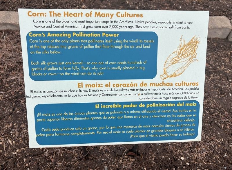 Corn: The Heart of Many Cultures / Marker image. Click for full size.