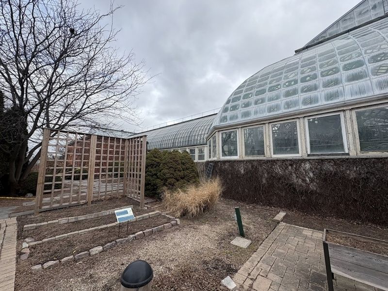 Corn: The Heart of Many Cultures marker at Garfield Park Conservatory image. Click for full size.