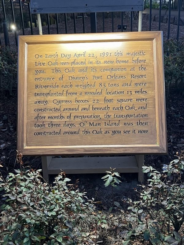 Live Oak Marker image. Click for full size.