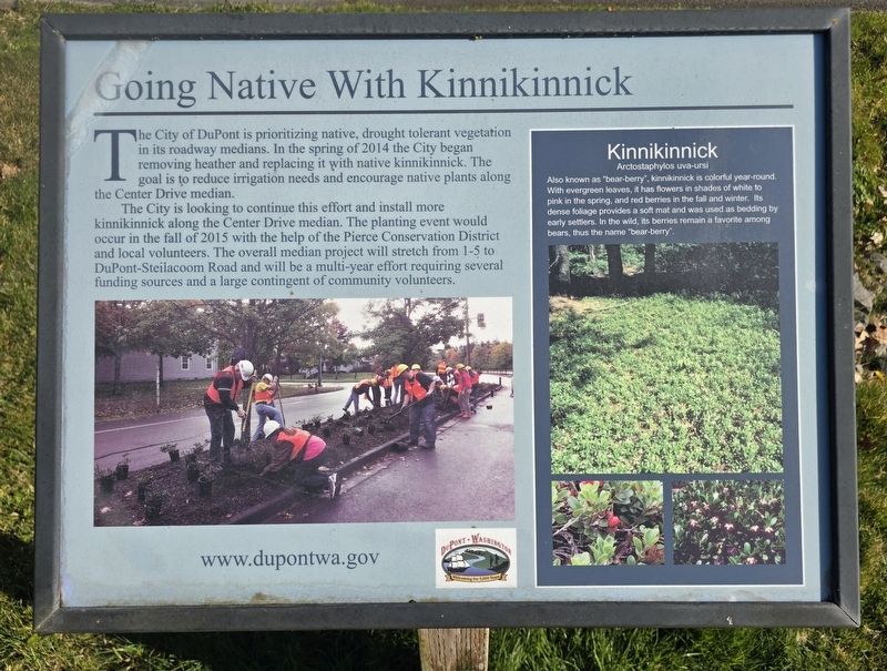 Going native with kinnikinnick Marker. Click for full size. Going native with kinnikinnick Marker image. Click for full size.