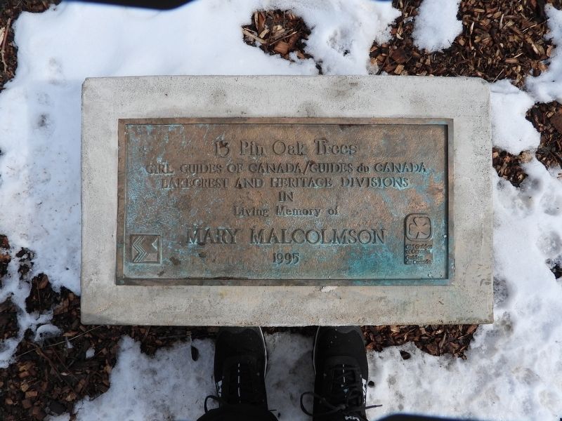 Mary Malcolmson - memorial plaque. Click for full size. Mary Malcolmson - memorial plaque image. Click for full size.