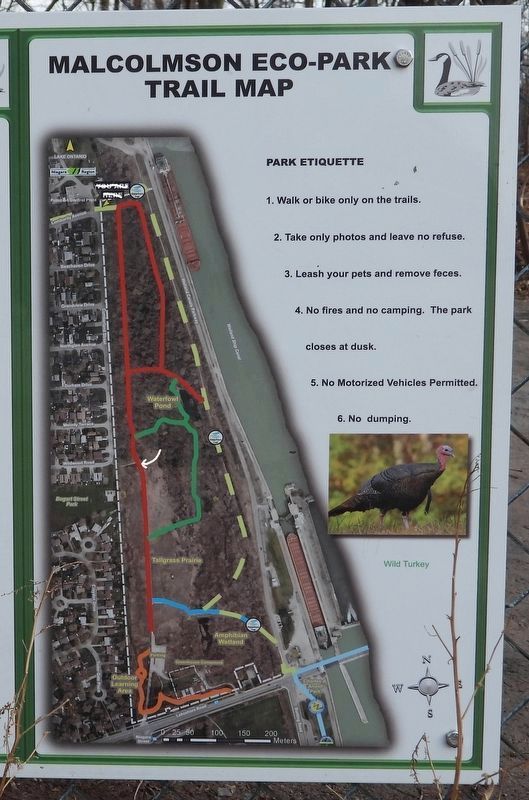 Malcolmson Park map - marker is at the white arrow. Click for full size. Malcolmson Park map - marker is at the white arrow image. Click for full size.