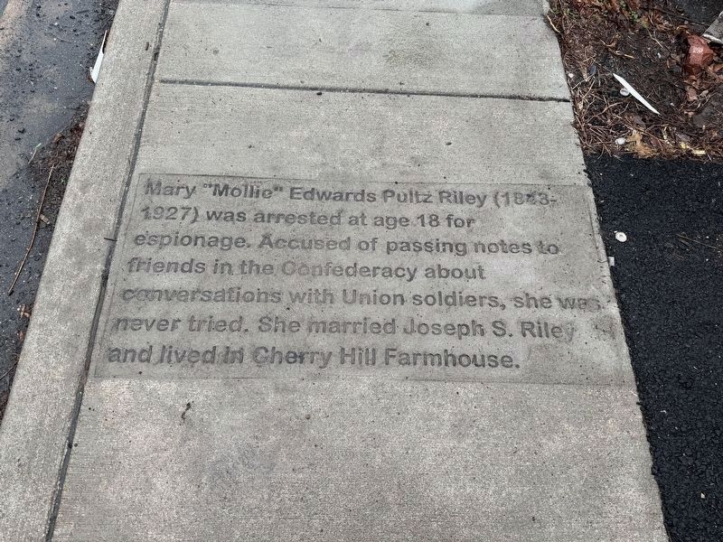 Mary "Mollie" Edwards Pultz Riley Marker image. Click for full size.
