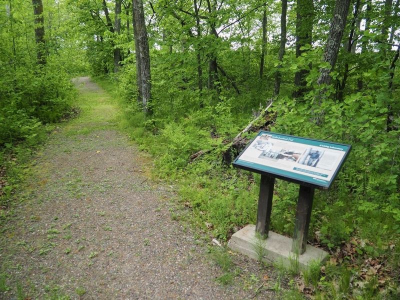 A Living Laboratory Marker on the Kathio Landmark Trail. Click for full size. A Living Laboratory Marker on the Kathio Landmark Trail image. Click for full size.