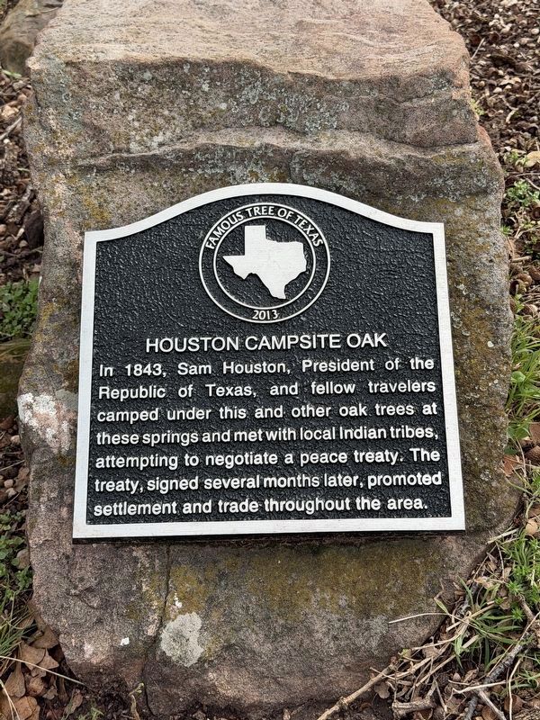Houston Campsite Oak Marker. Click for full size. Houston Campsite Oak Marker image. Click for full size.
