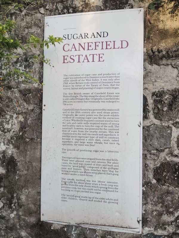 Sugar and Canefield Estate Marker. Click for full size. Sugar and Canefield Estate Marker image. Click for full size.