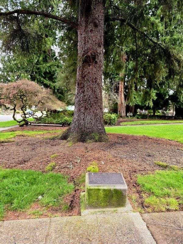 Marker and tree. Click for full size. Marker and tree image. Click for full size.