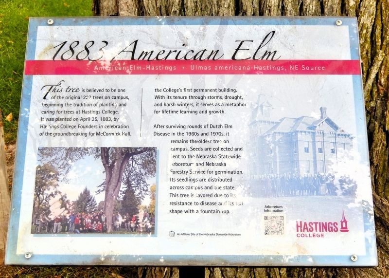 1883 American Elm Marker. Click for full size. 1883 American Elm Marker image. Click for full size.