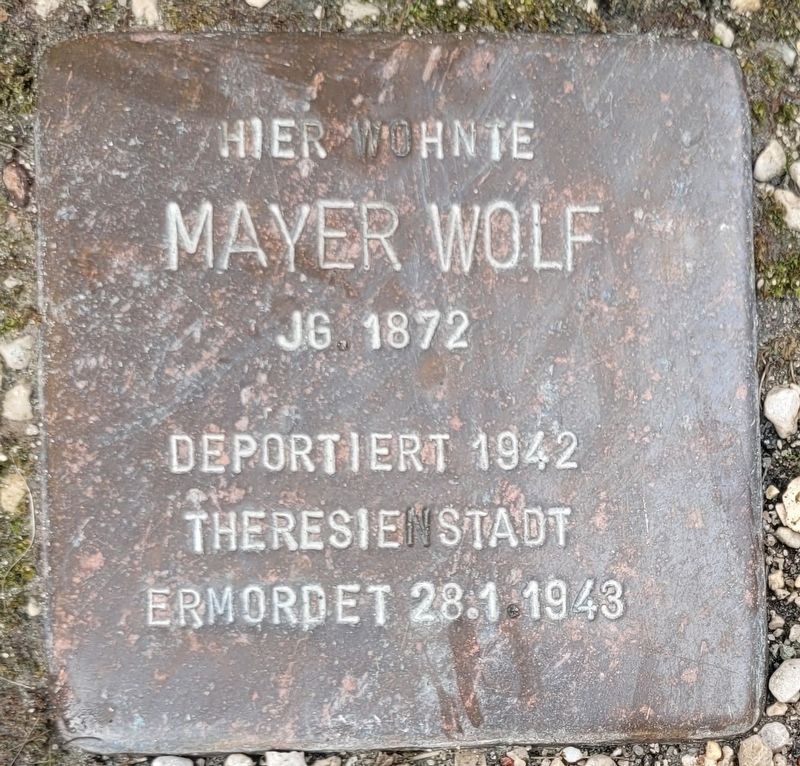 Mayer Wolf Marker image. Click for full size.