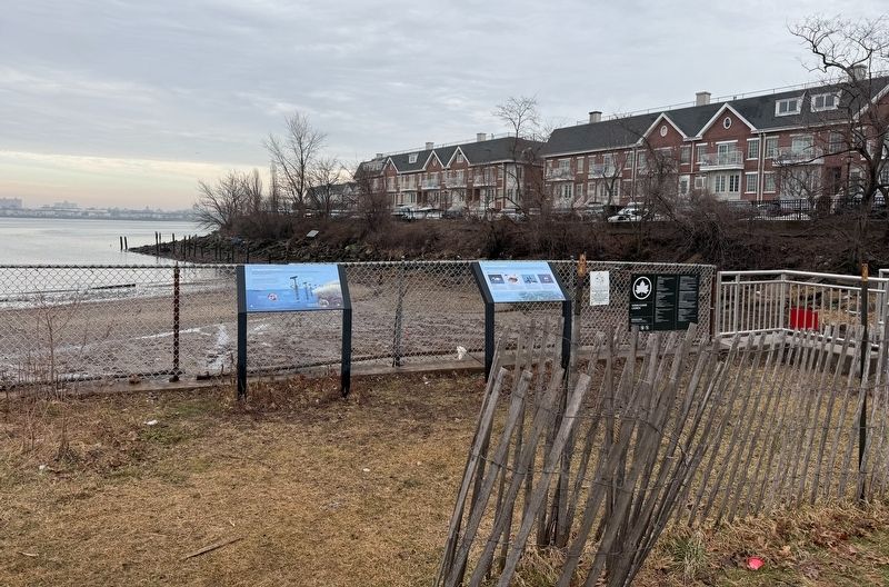 Bringing Back Oysters Marker. Click for full size. Bringing Back Oysters Marker image. Click for full size.