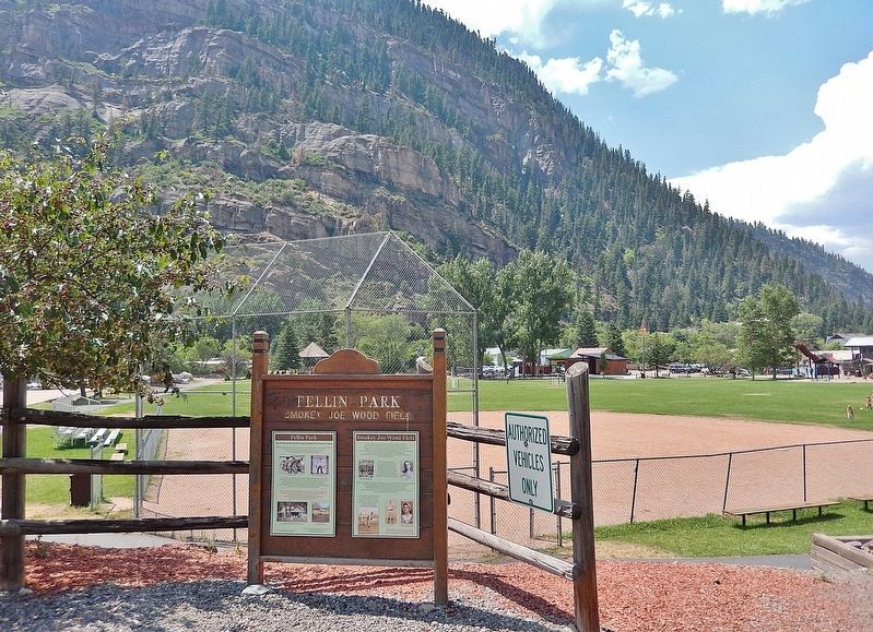Fellin Park Marker image. Click for full size.