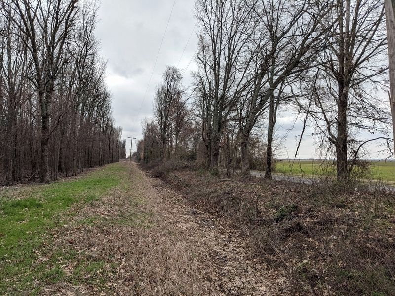 Former Cotton Belt Railroad trackbed. Click for full size. Former Cotton Belt Railroad trackbed image. Click for full size.