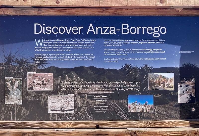 Discover Anza-Borrego image. Click for full size.