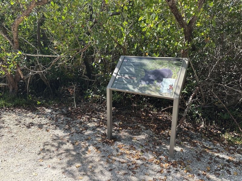 A Land Transformed Marker - wide view. Click for full size. A Land Transformed Marker - wide view image. Click for full size.