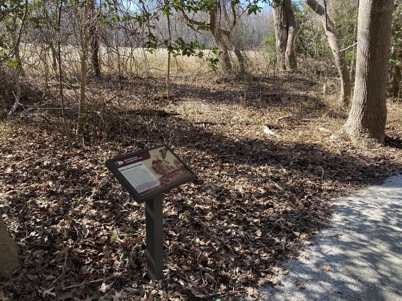 Early Life on the Main Marker. Click for full size. Early Life on the Main Marker image. Click for full size.