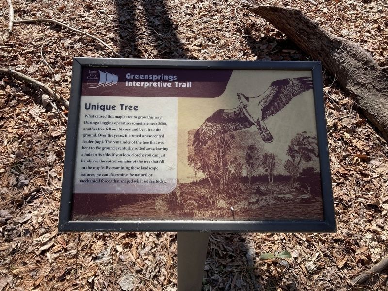 Unique Tree Marker. Click for full size. Unique Tree Marker image. Click for full size.